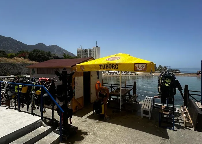 ホテル Manolya 3*